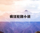 疯狂轮回小说