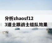 分析zhaosf123道士跟战士组队效果