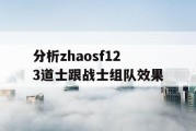 分析zhaosf123道士跟战士组队效果