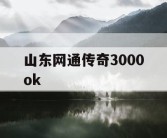 山东网通传奇3000ok