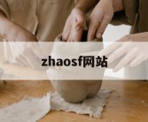 zhaosf网站