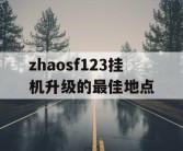 zhaosf123挂机升级的最佳地点
