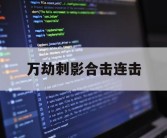 万劫刺影合击连击