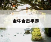 金牛合击手游