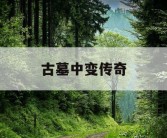 古墓中变传奇