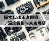 探索1.80王者网络，深度解析与未来展望