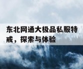 东北网通大极品私服特戒，探索与体验