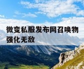 微变私服发布网召唤物强化无敌