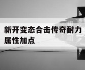 新开变态合击传奇耐力属性加点