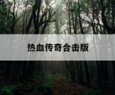 热血传奇合击版