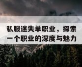私服迷失单职业，探索一个职业的深度与魅力