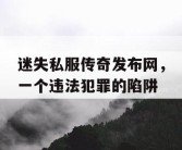 迷失私服传奇发布网，一个违法犯罪的陷阱
