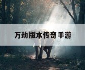 万劫版本传奇手游