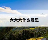 六六六什么意思
