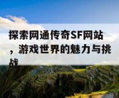 探索网通传奇SF网站，游戏世界的魅力与挑战
