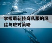 掌握最新传奇私服的风险与应对策略