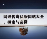 网通传奇私服网站大全，探索与选择