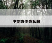 中变态传奇私服