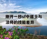 刚开一秒sf中道士与法师的技能差异
