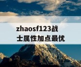 zhaosf123战士属性加点最优