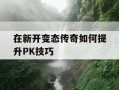 在新开变态传奇如何提升PK技巧