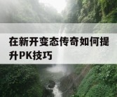 在新开变态传奇如何提升PK技巧