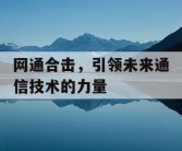 网通合击，引领未来通信技术的力量