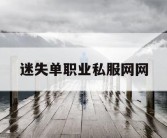 迷失单职业私服网网