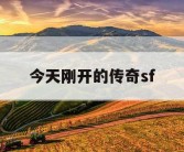今天刚开的传奇sf