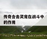传奇合击灵宠在战斗中的作用