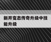 新开变态传奇升级中技能升级