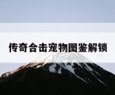 传奇合击宠物图鉴解锁