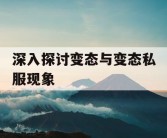 深入探讨变态与变态私服现象