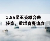 1.85星王英雄合击传奇，重燃青春热血