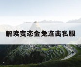 解读变态金兔连击私服