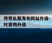 传奇私服发布网站升级时宠物升级