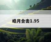 皓月合击1.95