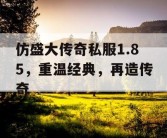 仿盛大传奇私服1.85，重温经典，再造传奇