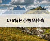 176特色小极品传奇