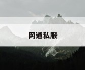 网通私服