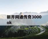 新开网通传奇3000ok