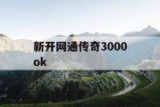 新开网通传奇3000ok