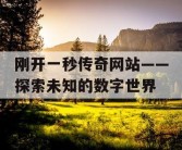 刚开一秒传奇网站——探索未知的数字世界