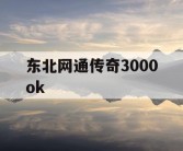 东北网通传奇3000ok