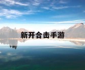 新开合击手游