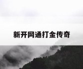 新开网通打金传奇