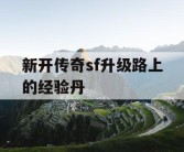 新开传奇sf升级路上的经验丹