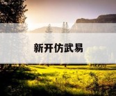 新开仿武易