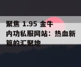 聚焦 1.95 金牛内功私服网站：热血新篇的汇聚地