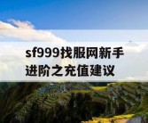 sf999找服网新手进阶之充值建议